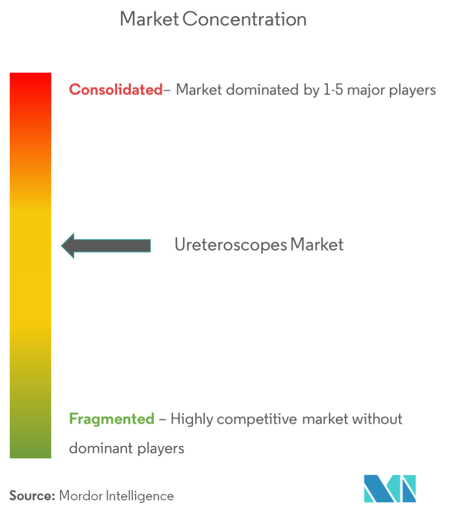 Ureteroscopes Market Concentration.png